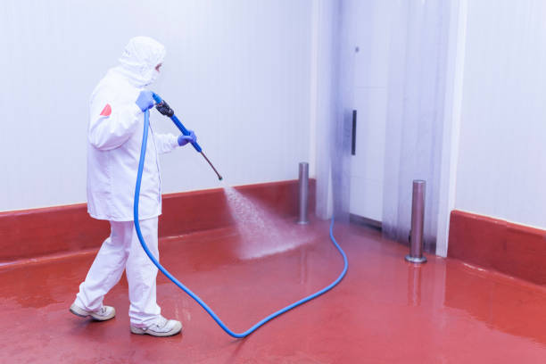 Best Pre-Holiday Cleaning  in Highlands, CA